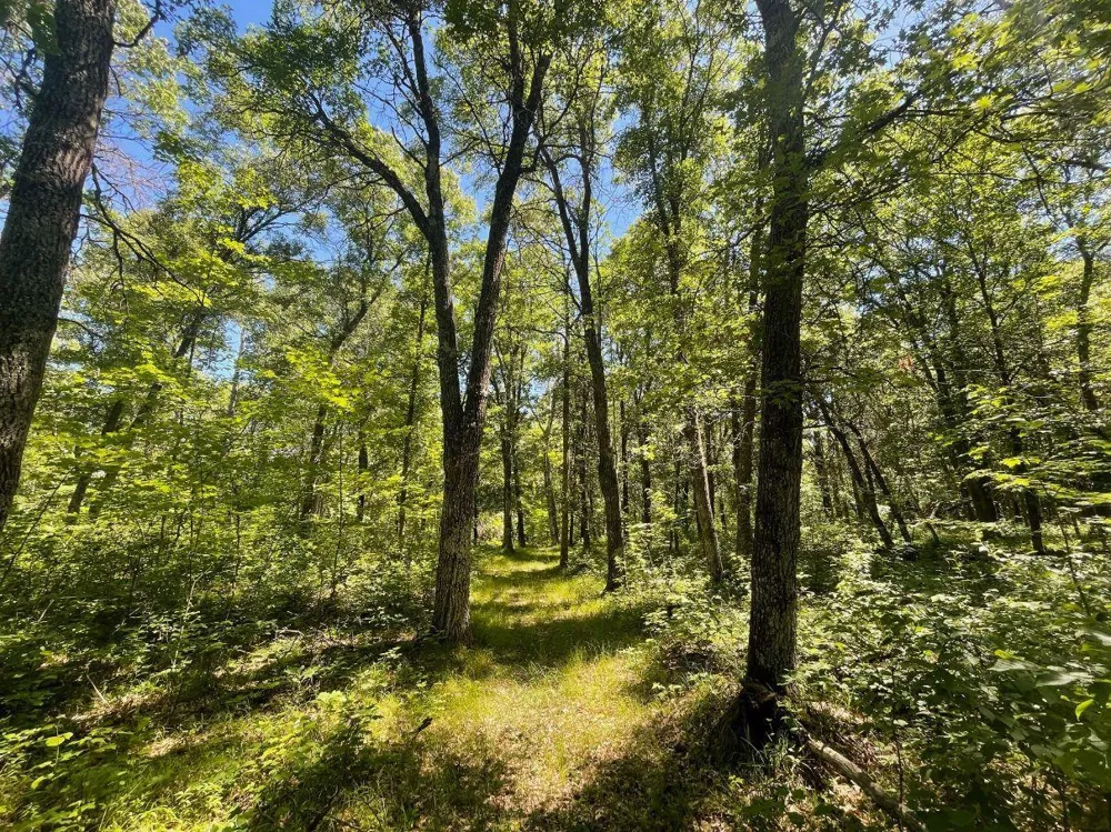 12997 E Mail Road Gordon, WI 54838