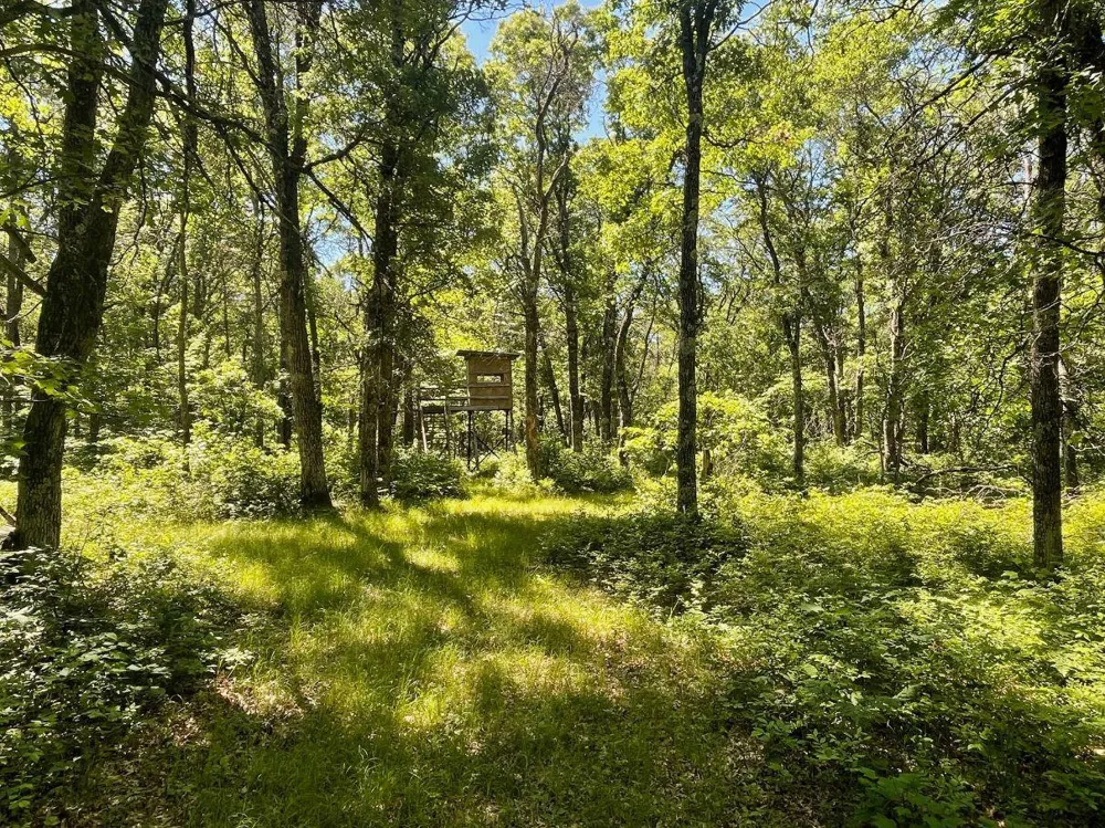 12997 E Mail Road Gordon, WI 54838