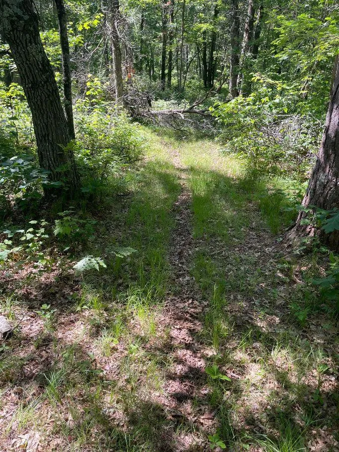 12997 E Mail Road Gordon, WI 54838