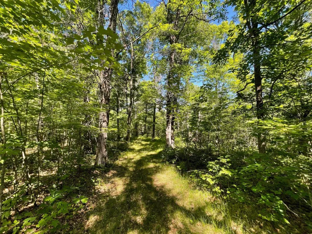 12997 E Mail Road Gordon, WI 54838