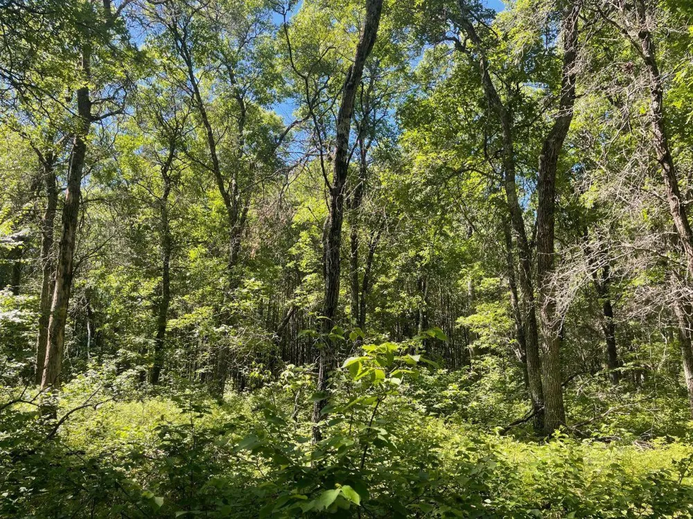 12997 E Mail Road Gordon, WI 54838