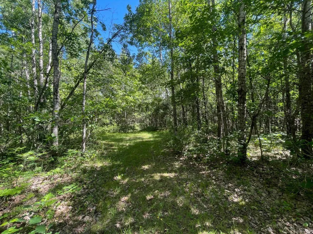 12997 E Mail Road Gordon, WI 54838