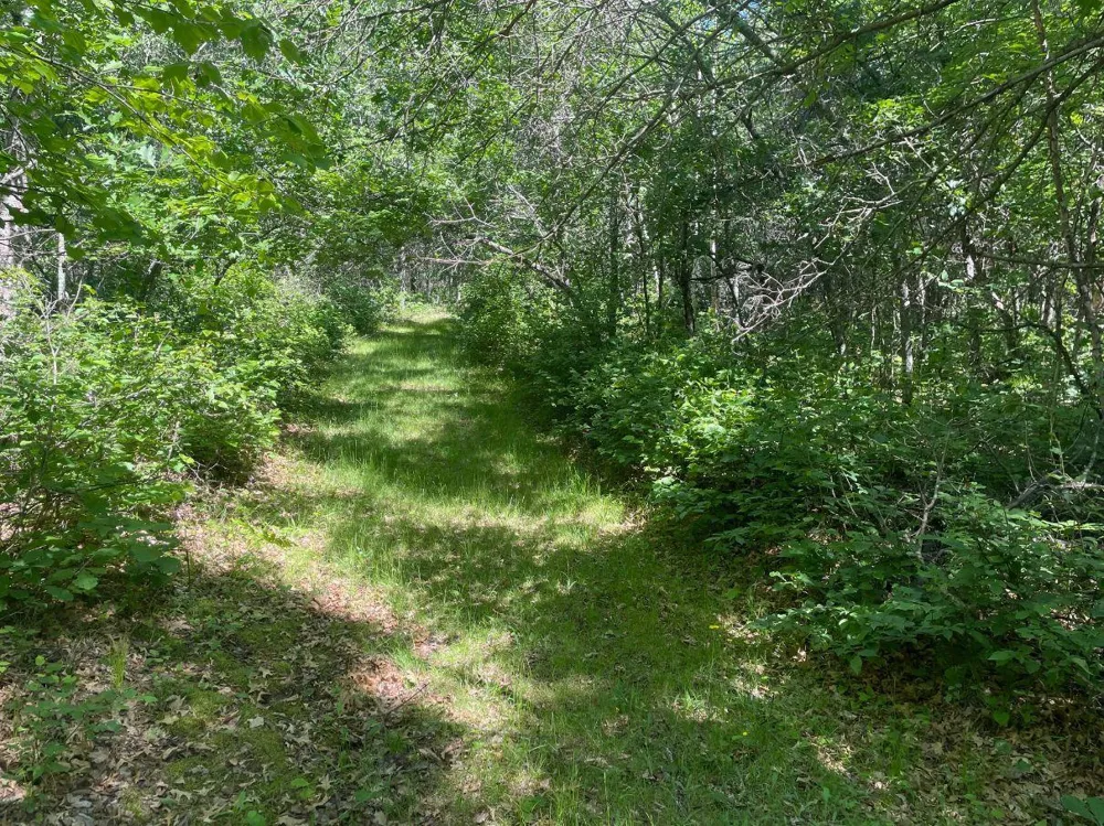 12997 E Mail Road Gordon, WI 54838