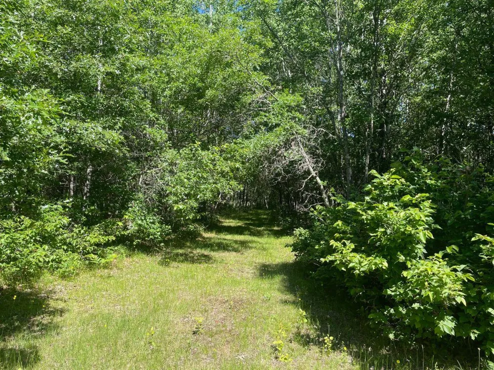 12997 E Mail Road Gordon, WI 54838