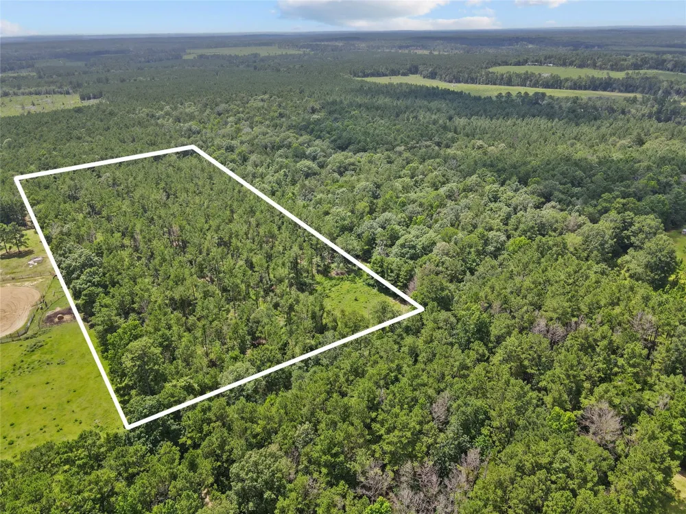 4012 Fm 2992 Woodville, TX 77660