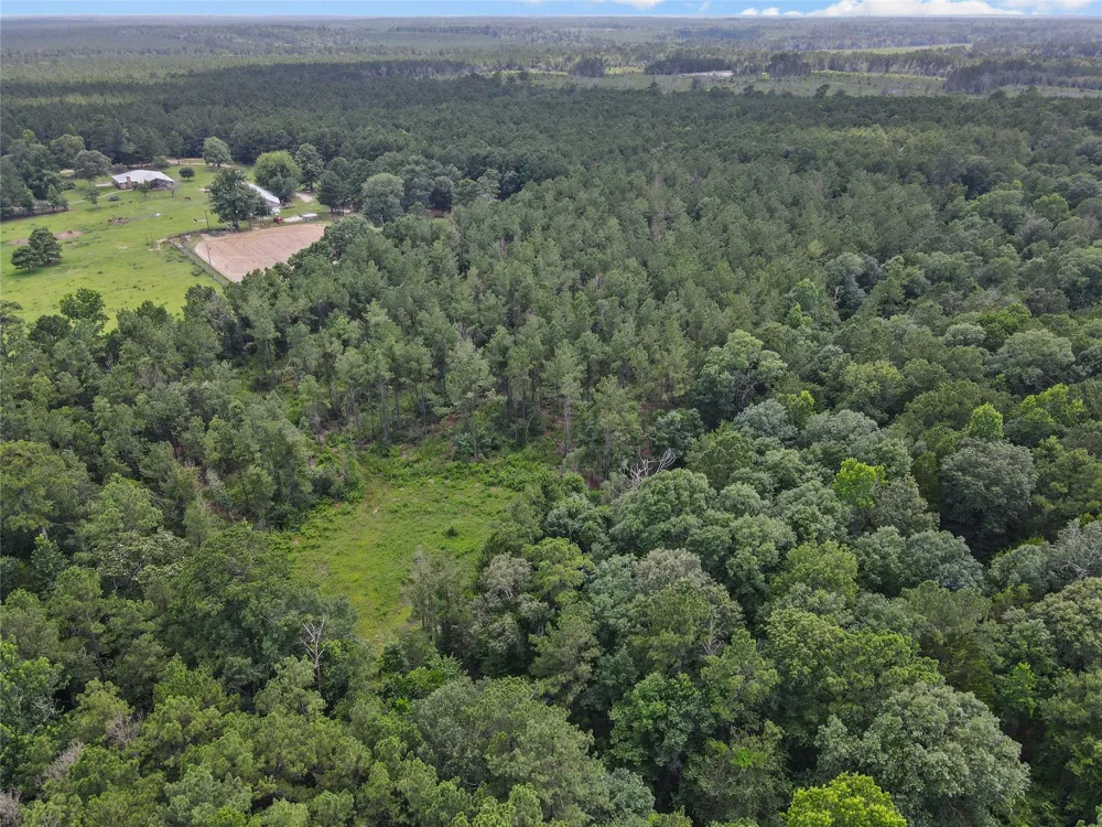 4012 Fm 2992 Woodville, TX 77660