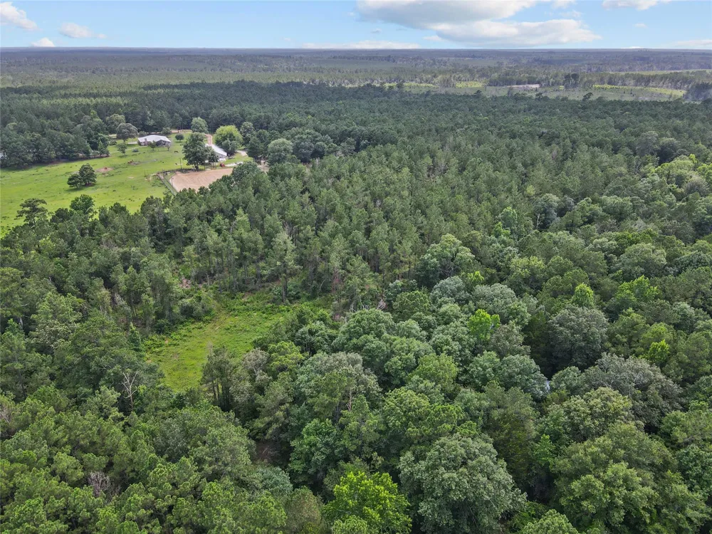 4012 Fm 2992 Woodville, TX 77660