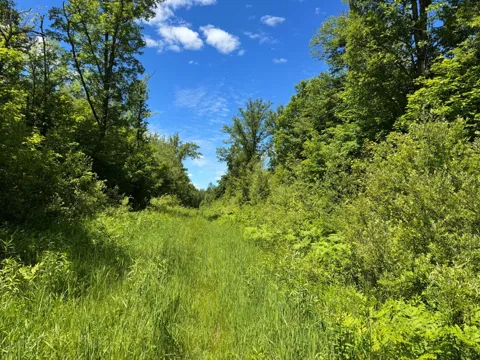 TBD 300th Lane