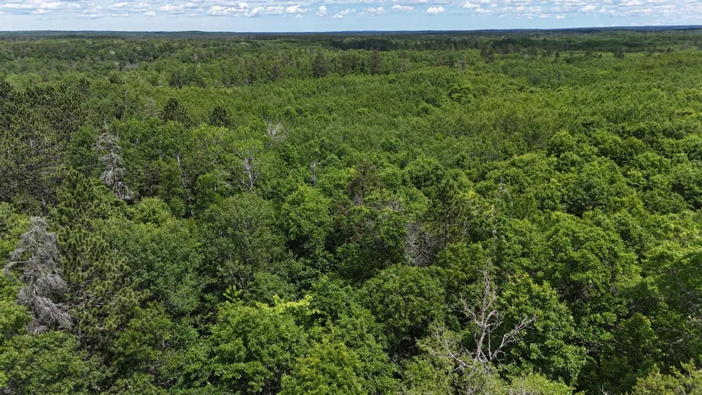 TBD E Mail Gordon, WI 54838