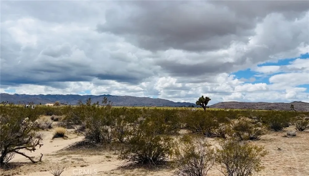 62985 Broadway Street Joshua Tree, CA 92252