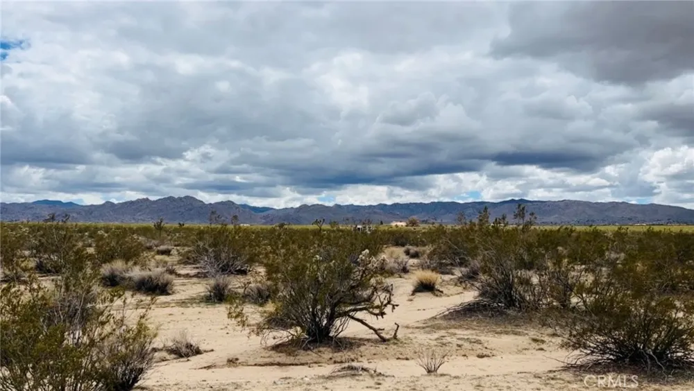 62985 Broadway Street Joshua Tree, CA 92252