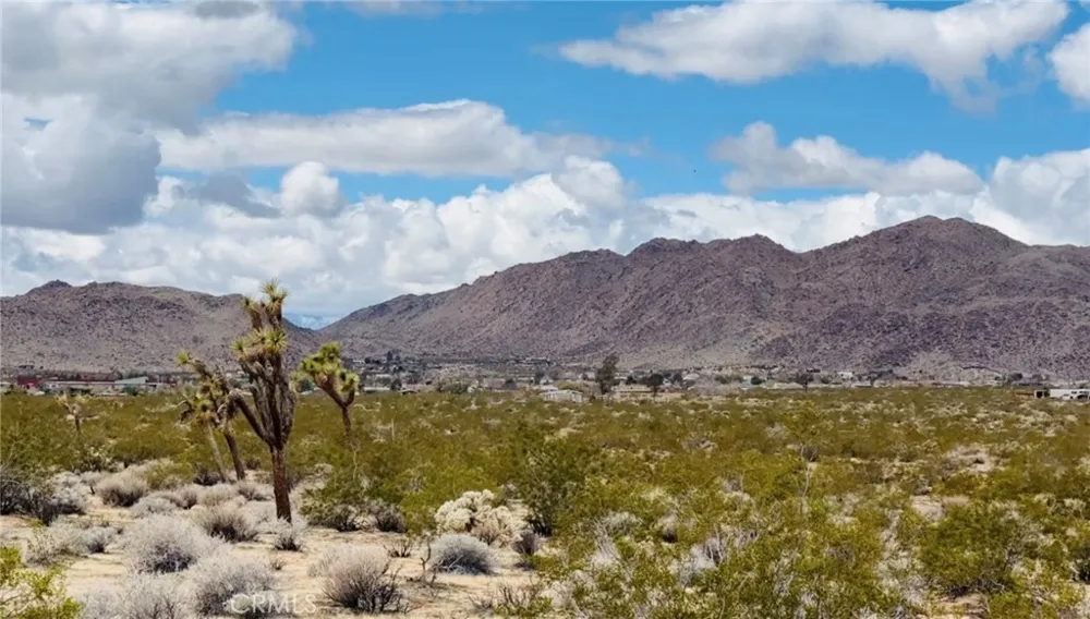 62985 Broadway Street Joshua Tree, CA 92252