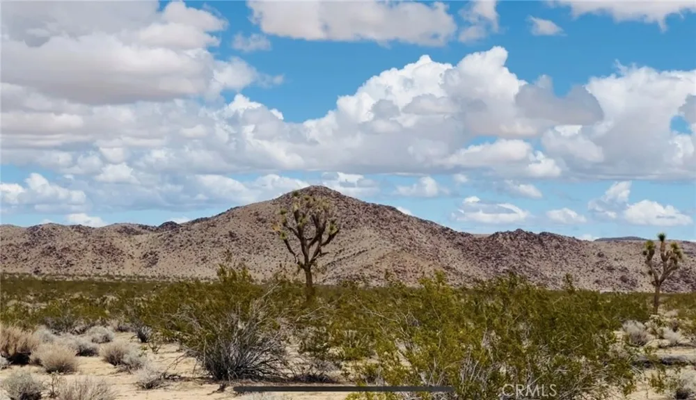 62985 Broadway Street Joshua Tree, CA 92252