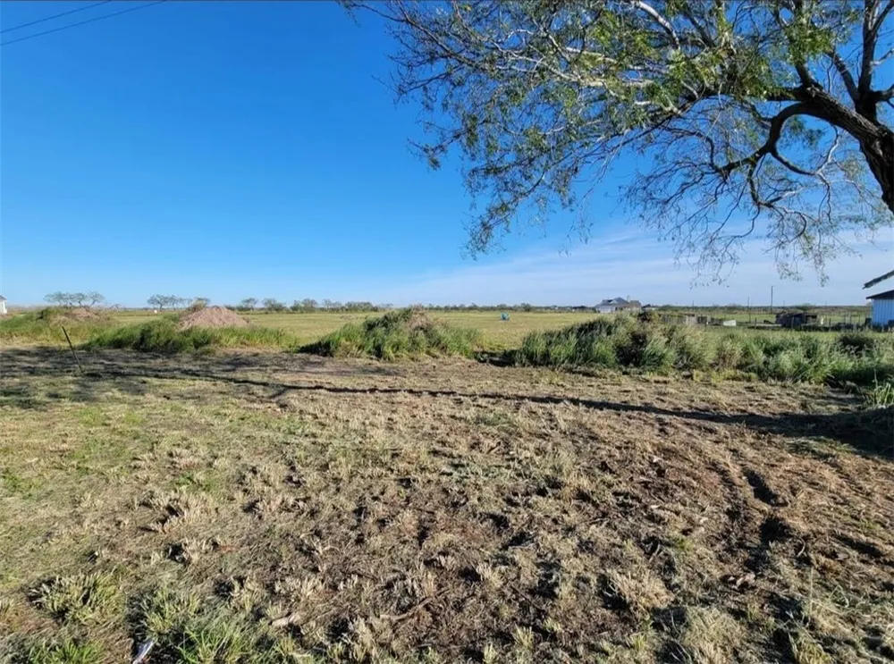 5578 County Road 101 Sandia, TX 78380