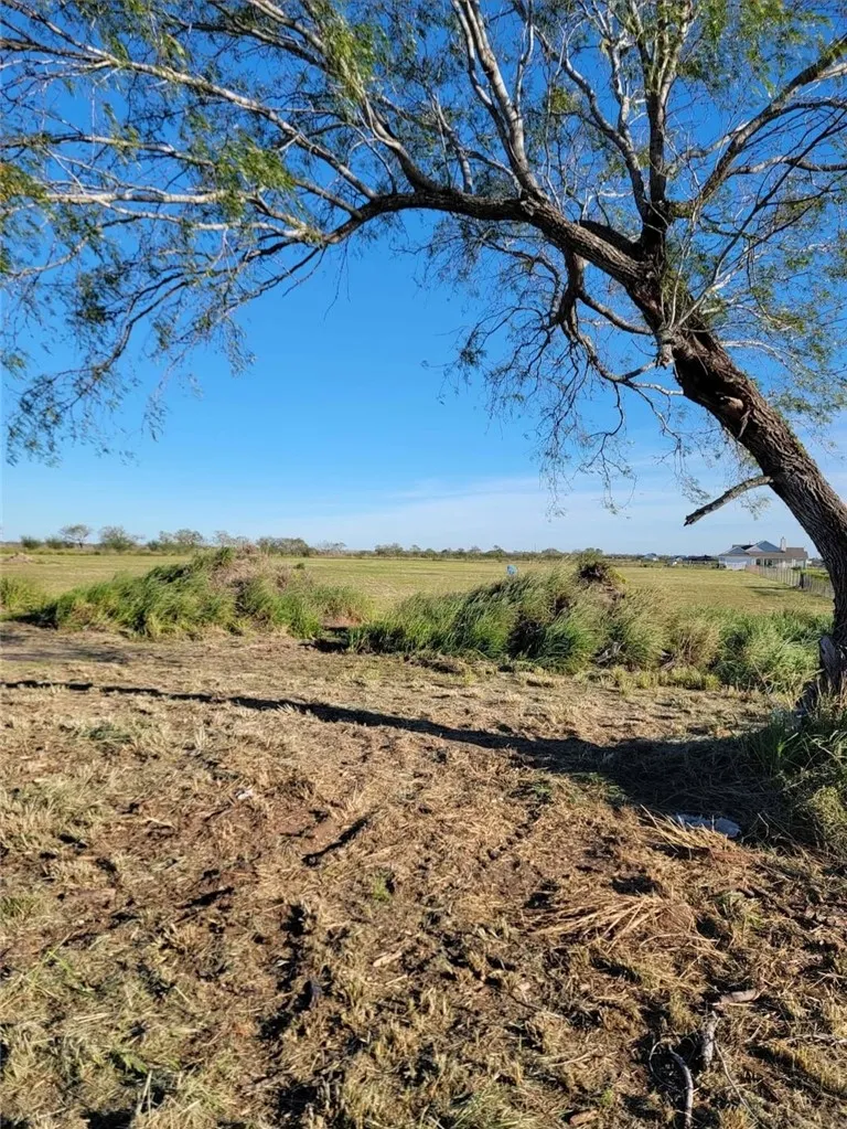 5578 County Road 101 Sandia, TX 78380