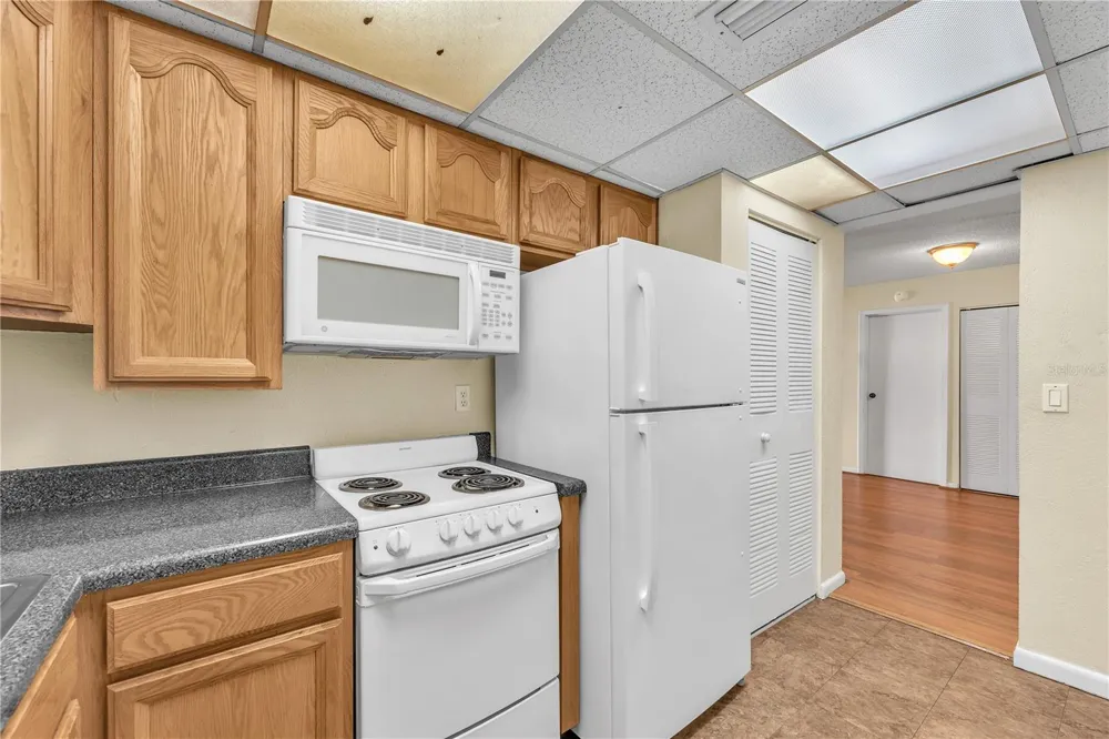 801 RUSSELL LANE #254 Brandon, FL 33510