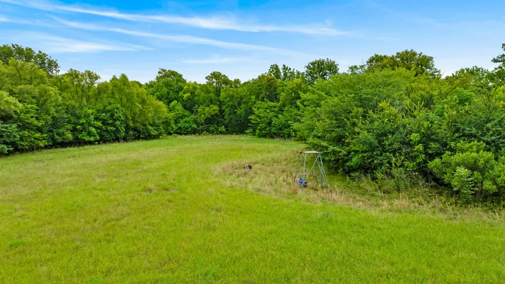 1285 FARM ROAD 196 Pattonville, TX 75468