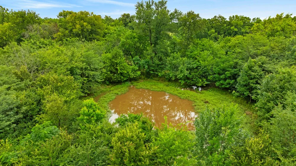 1285 FARM ROAD 196 Pattonville, TX 75468