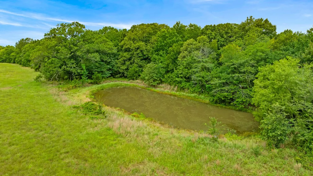 1285 FARM ROAD 196 Pattonville, TX 75468