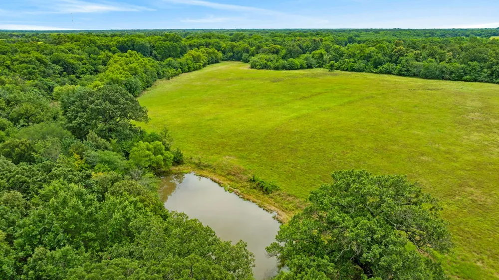 1285 FARM ROAD 196 Pattonville, TX 75468