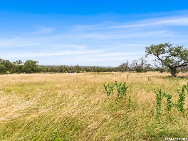 LOT 88 Axis Circle Fredericksburg, TX 78624
