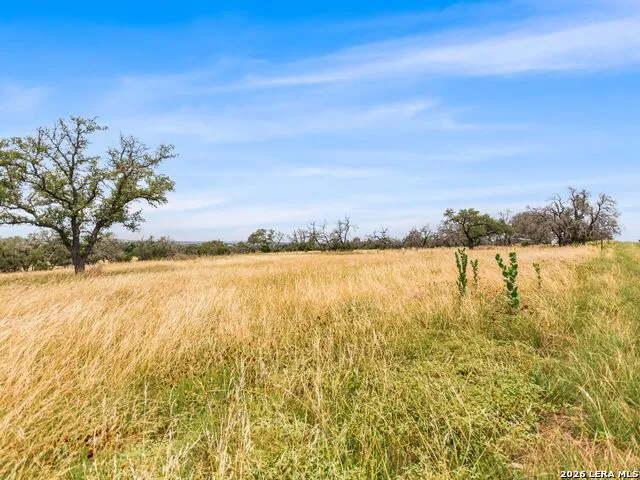 LOT 88 Axis Circle Fredericksburg, TX 78624