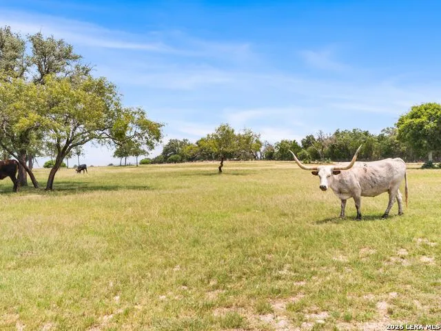 LOT 88 Axis Circle Fredericksburg, TX 78624