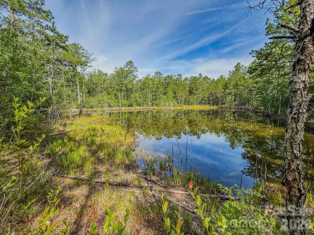 0 Hwy 1 Highway Patrick, SC 29584