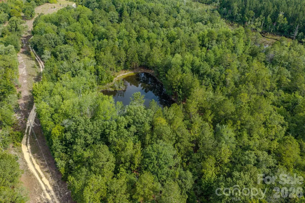 0 Hwy 1 Highway Patrick, SC 29584