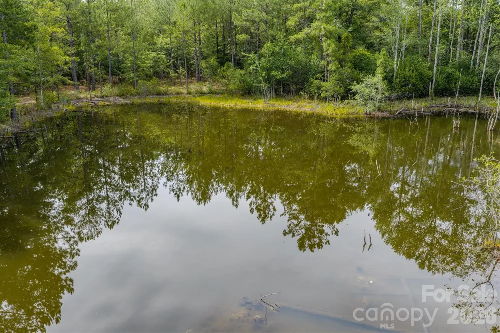 0 Hwy 1 Highway Patrick, SC 29584