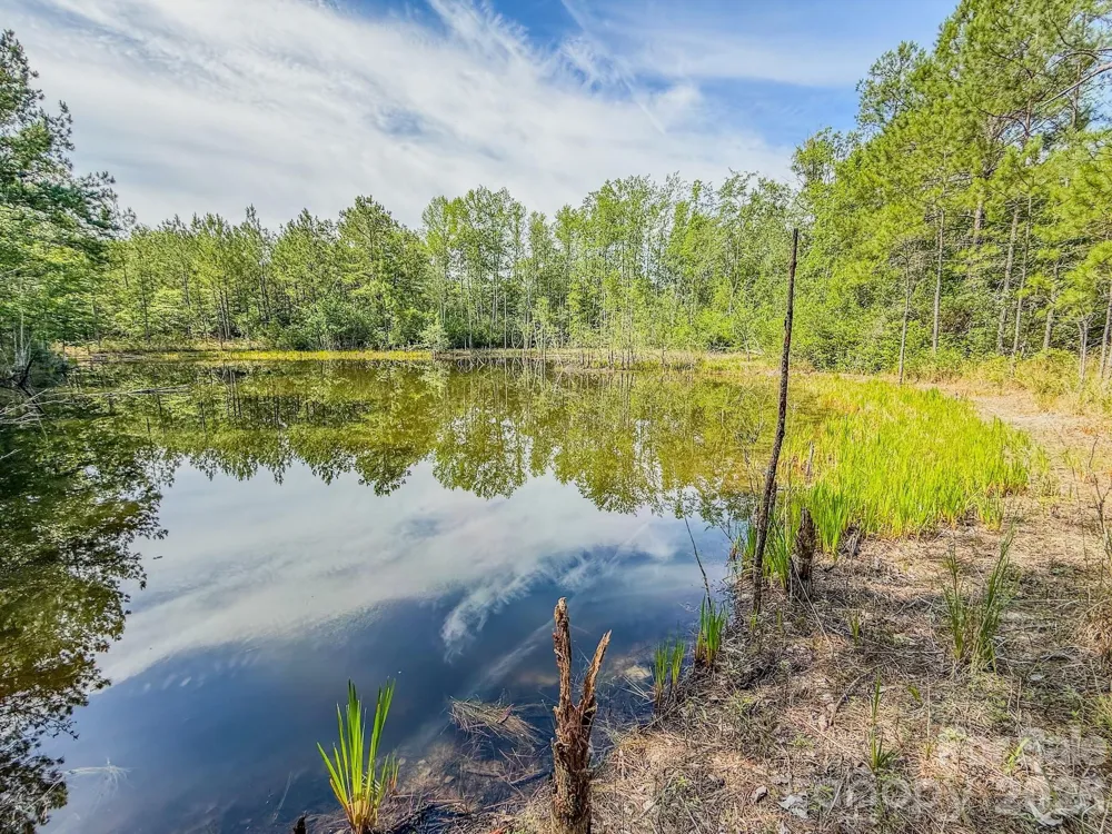 0 Hwy 1 Highway Patrick, SC 29584