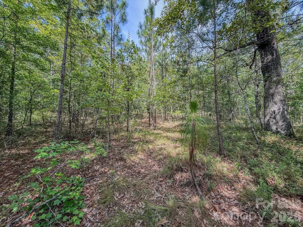 0 Hwy 1 Highway Patrick, SC 29584