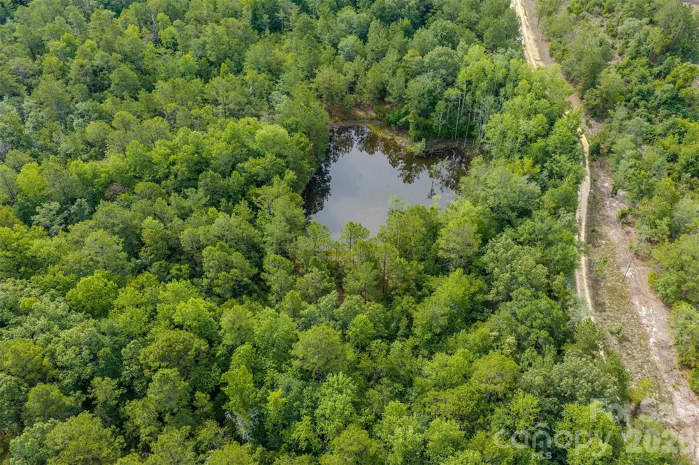 0 Hwy 1 Highway Patrick, SC 29584