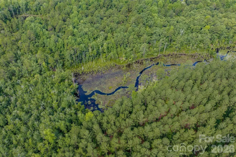 0 Hwy 1 Highway Patrick, SC 29584