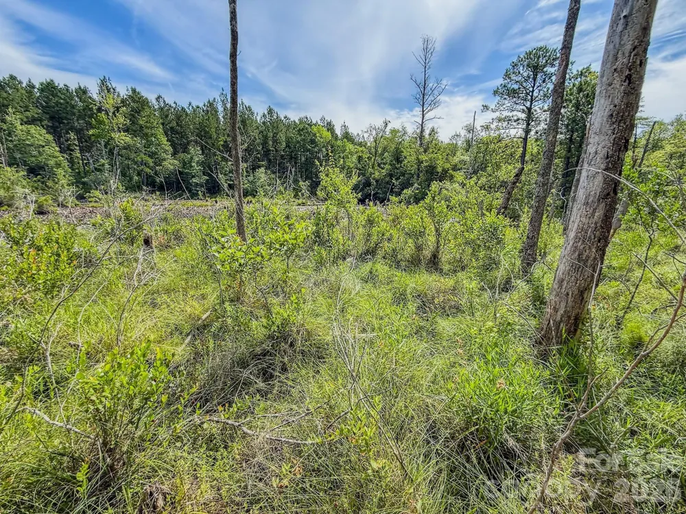 0 Hwy 1 Highway Patrick, SC 29584