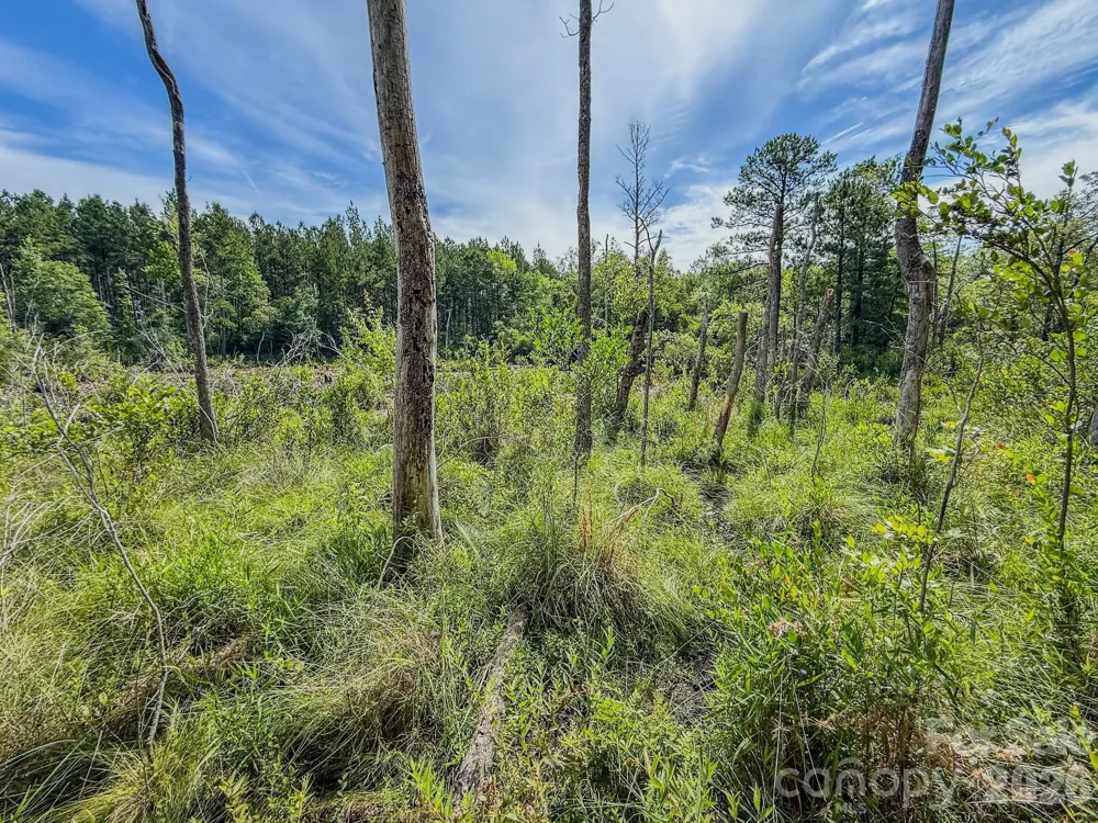0 Hwy 1 Highway Patrick, SC 29584