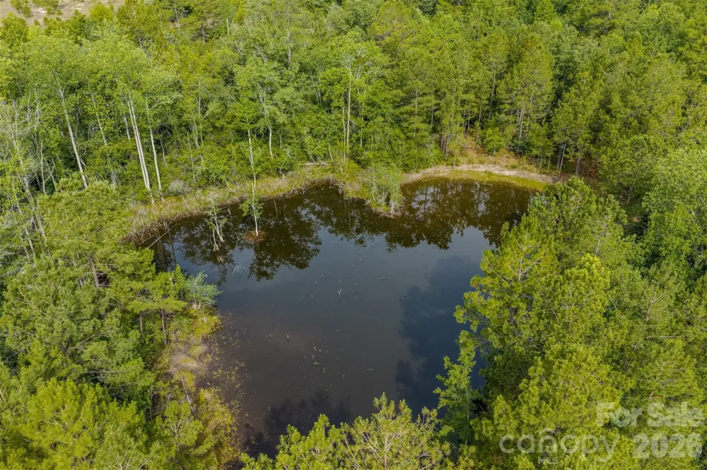 0 Hwy 1 Highway Patrick, SC 29584
