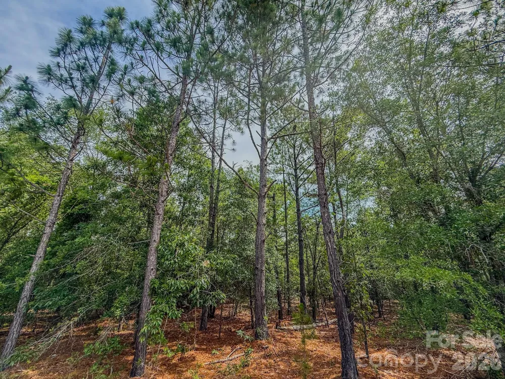 0 Hwy 1 Highway Patrick, SC 29584