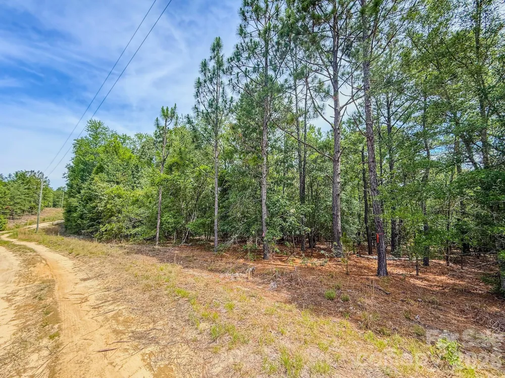 0 Hwy 1 Highway Patrick, SC 29584