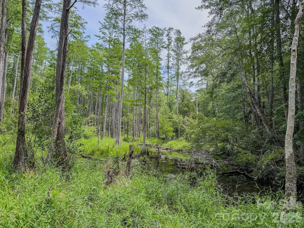 0 Hwy 1 Highway Patrick, SC 29584