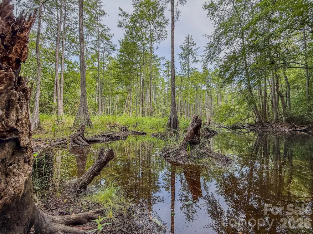 0 Hwy 1 Highway Patrick, SC 29584