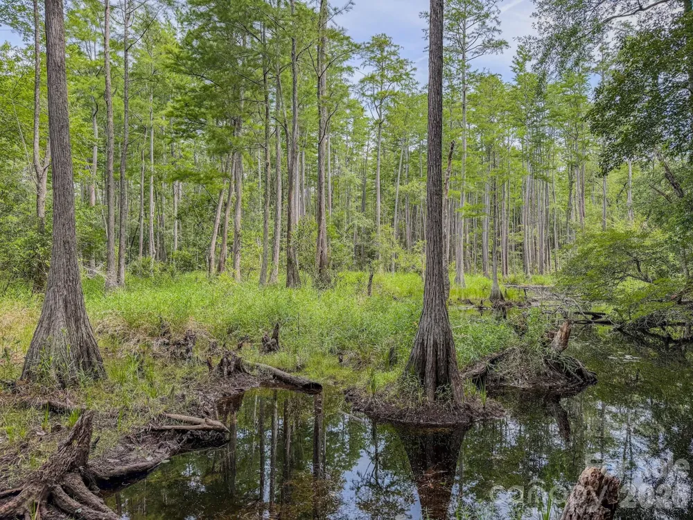 0 Hwy 1 Highway Patrick, SC 29584