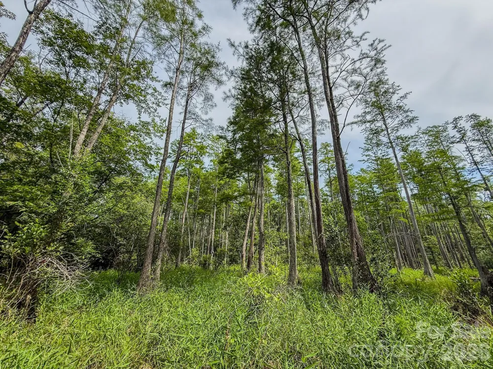 0 Hwy 1 Highway Patrick, SC 29584