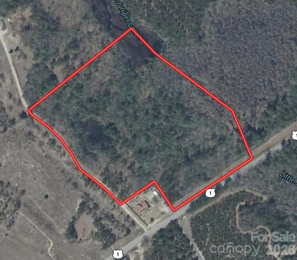0 Hwy 1 Highway Patrick, SC 29584