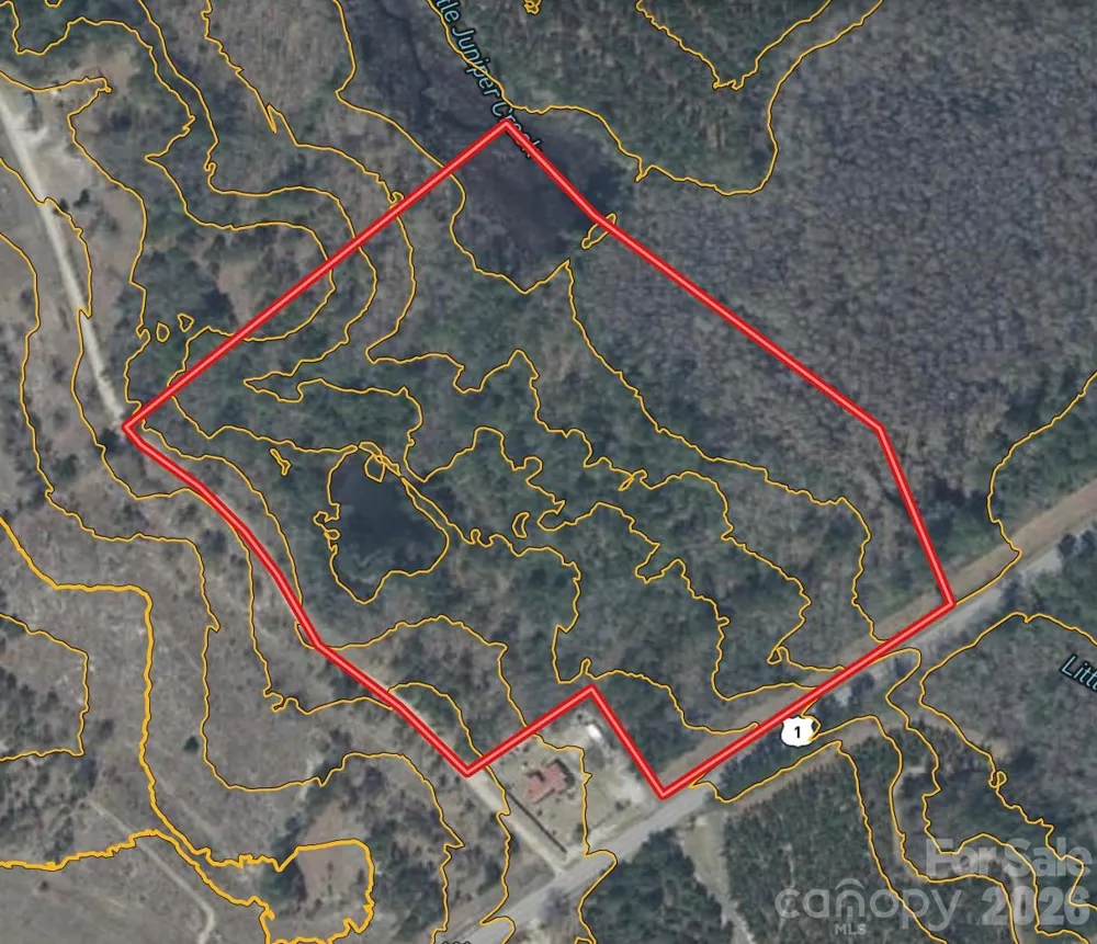 0 Hwy 1 Highway Patrick, SC 29584