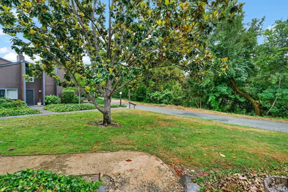 260 Los Alamos Road Santa Rosa, CA 95409