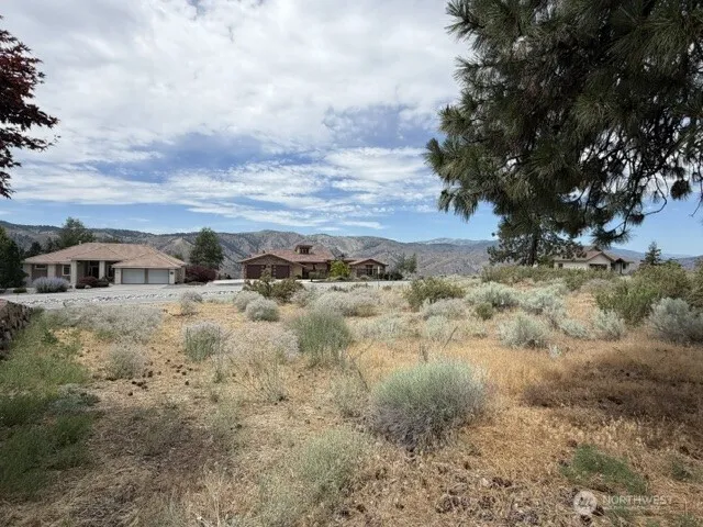 601 Desert Canyon Boulevard Orondo, WA 98843