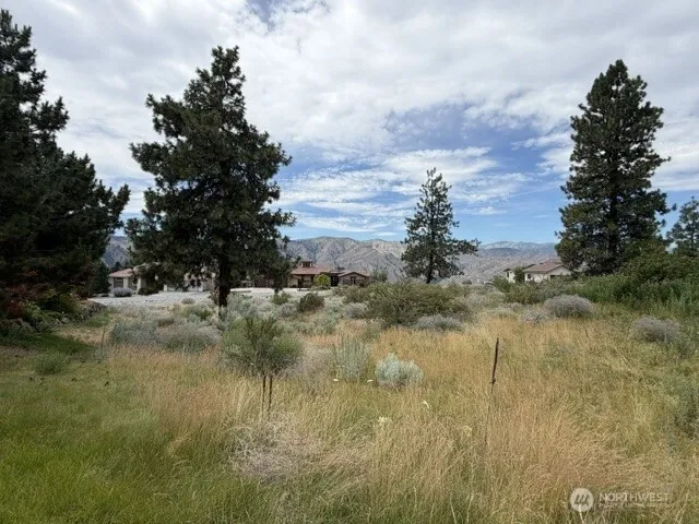 601 Desert Canyon Boulevard Orondo, WA 98843