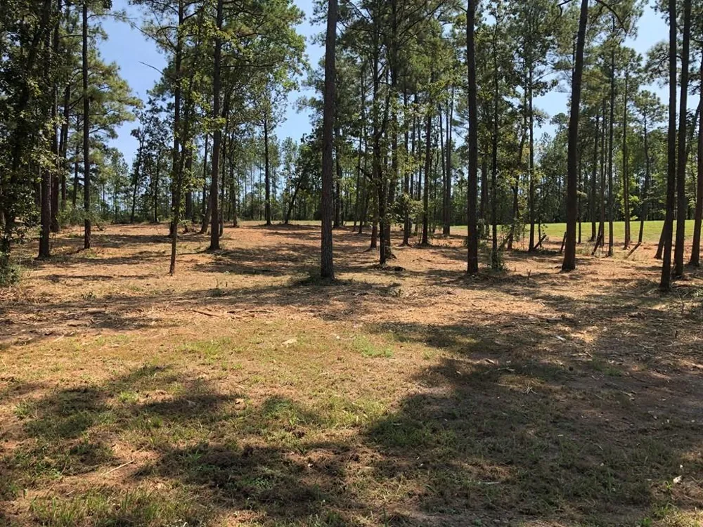 270 Peachtree Drive Burkeville, TX 75932