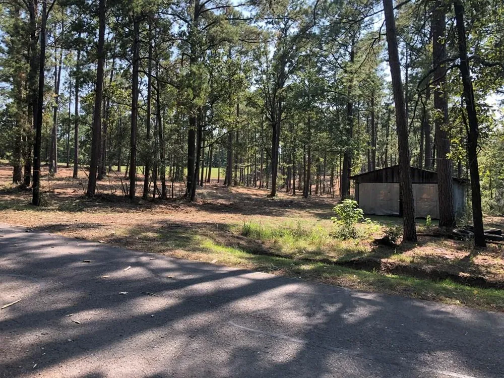 270 Peachtree Drive Burkeville, TX 75932